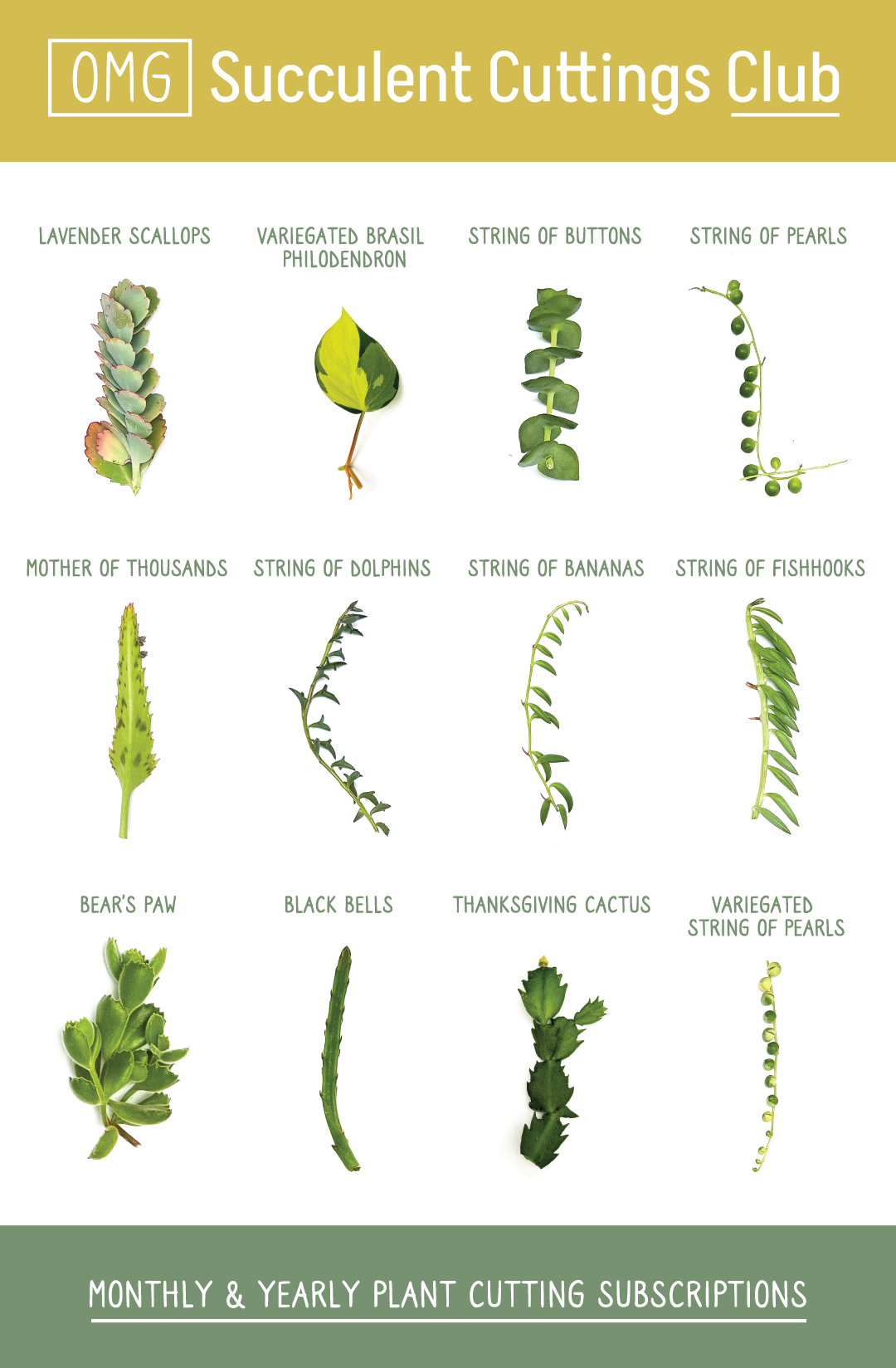 OMG Cuttings Club